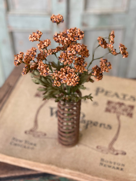 Fennel Flower Bundle | 13" | Pumpkin