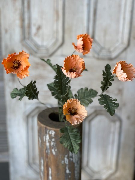 Slumberland Poppy | Sorbet | 30"