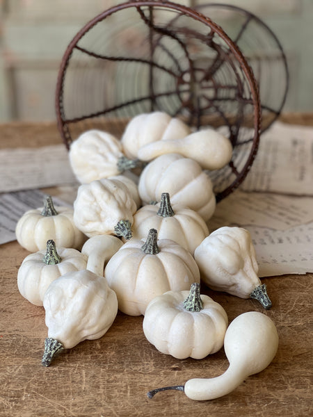 Fall's Folly Mini Pumpkins