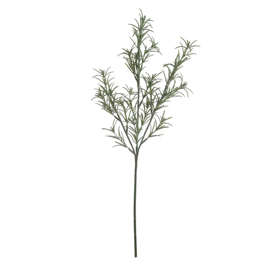 Rosemary Stem | 19" | PRE-ORDER