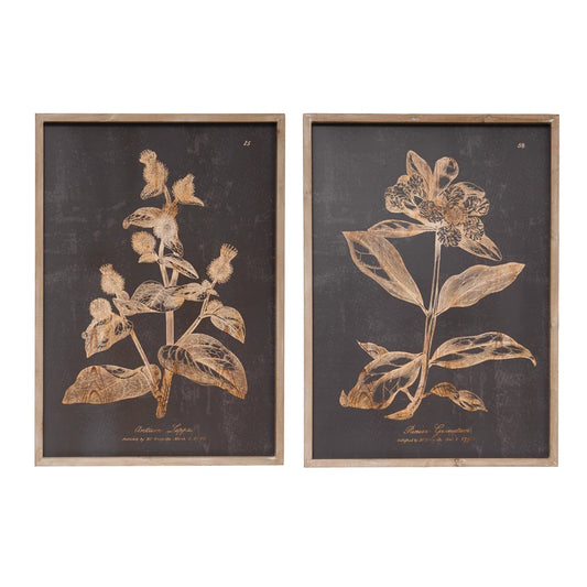 Botanical Print | 2 Styles