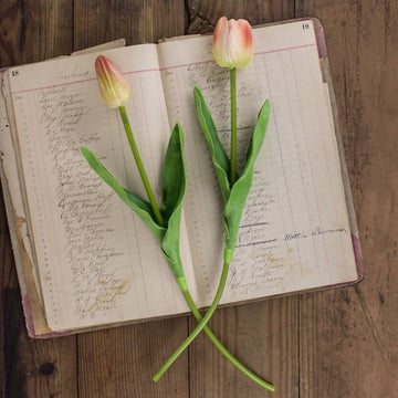 Real Touch Coral Tulip Stem | 18"